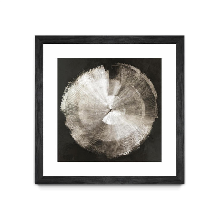 \"Touch Of Silver\" Matted and Framed Black 36x36 Wall Art