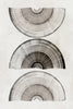 "Sophisticatted Lines I" Giant Art 84x54 Wall Art