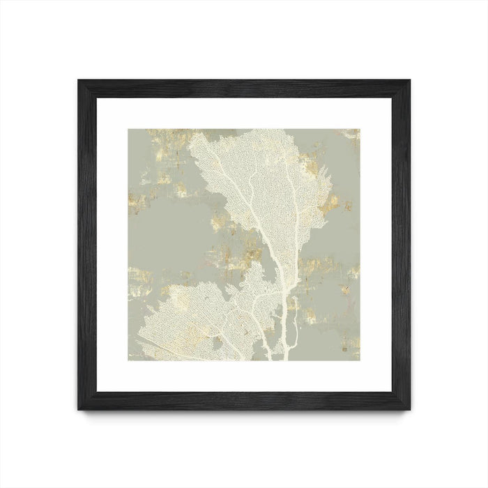 \"Sea Coral Ii\" Matted and Framed Black 30x30 Wall Art