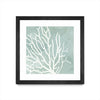 \"Sea Crown I\" Matted and Framed Black 36x36 Wall Art
