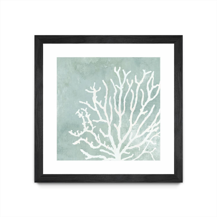 \"Sea Crown Ii\" Matted and Framed Black 30x30 Wall Art