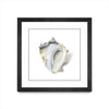 \"Seafoam Shell\" Matted and Framed Black 30x30 Wall Art