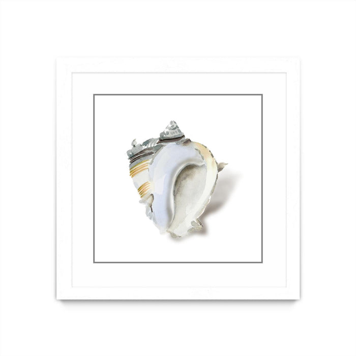 \"Seafoam Shell\" Matted and Framed White 36x36 Wall Art
