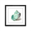 \"Shell In Mint\" Matted and Framed Black 36x36 Wall Art