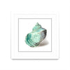 \"Shell In Mint\" Matted and Framed White 30x30 Wall Art