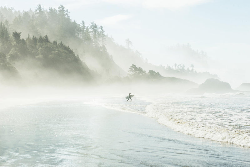 \"Suhrie - Catching The Morning Surf\" Giant Art 84x54 Wall Art