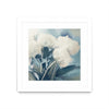 \"White Roses I\" Matted and Framed White 36x36 Wall Art