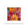 \"Spring Bouquet V32\" Matted and Framed White 36x36 Wall Art