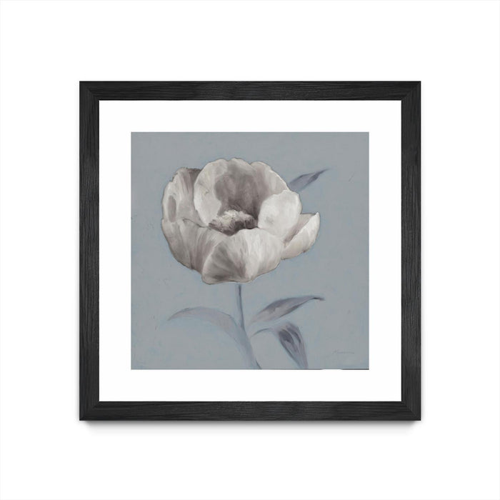 \"Floral Symposium I\" Matted and Framed Black 36x36 Wall Art
