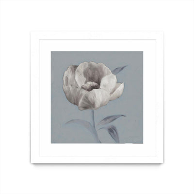 "Floral Symposium I" Matted and Framed White 36x36 Wall Art