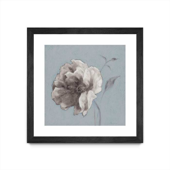 \"Floral Symposium Ii\" Matted and Framed Black 36x36 Wall Art