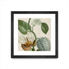 \"Cropped Turpin Tropicals Ii\" Matted and Framed Black 36x36 Wall Art