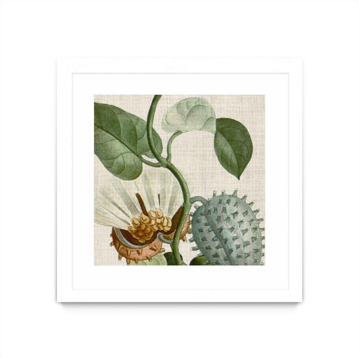 \"Cropped Turpin Tropicals Ii\" Matted and Framed White 36x36 Wall Art