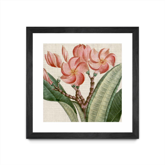 \"Cropped Turpin Tropicals Vii\" Matted and Framed Black 36x36 Wall Art