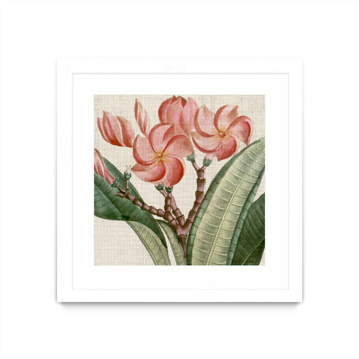 \"Cropped Turpin Tropicals Vii\" Matted and Framed White 30x30 Wall Art