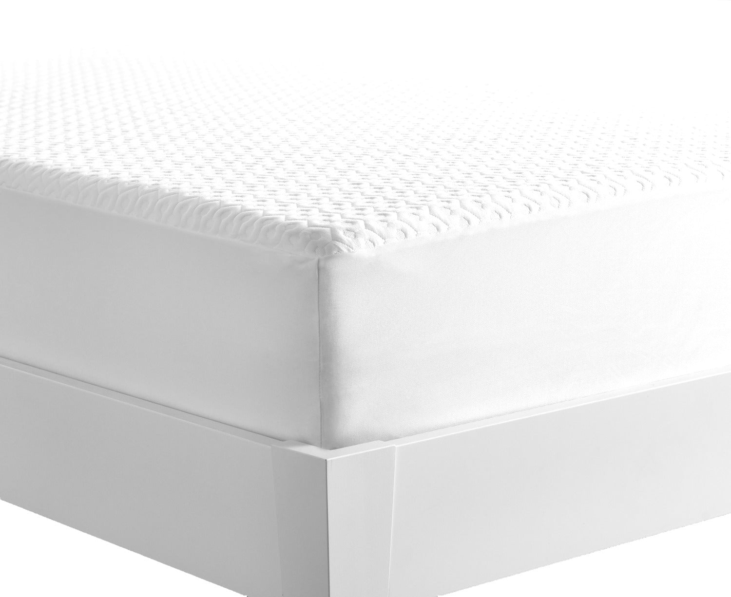 BEDGEAR Dri-Tec® Performance Queen Mattress Protector - The Brick
