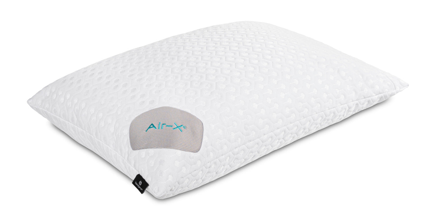 BEDGEAR Dri Tec Queen Pillow Protector The Brick