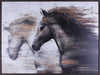Horse Framed Canvas – 49