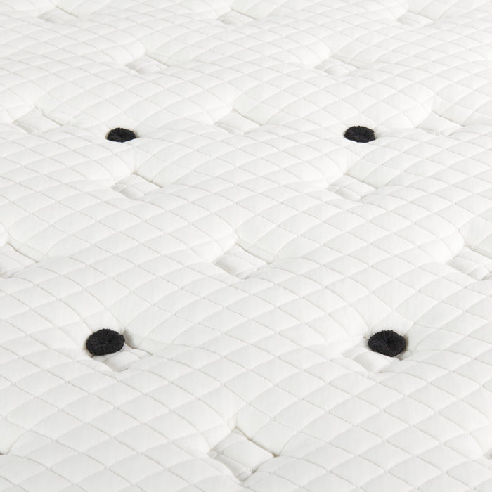 Scott Living Aviemore Tight Top Plush Twin Mattress
