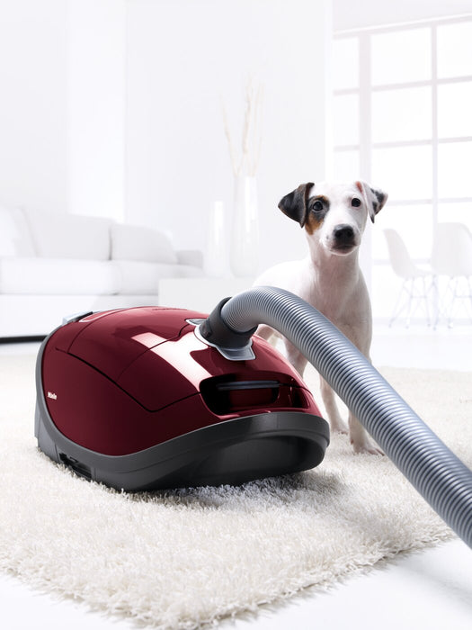 Miele Complete C3 Limited Edition Canister Vacuum - 41GDE040CDN