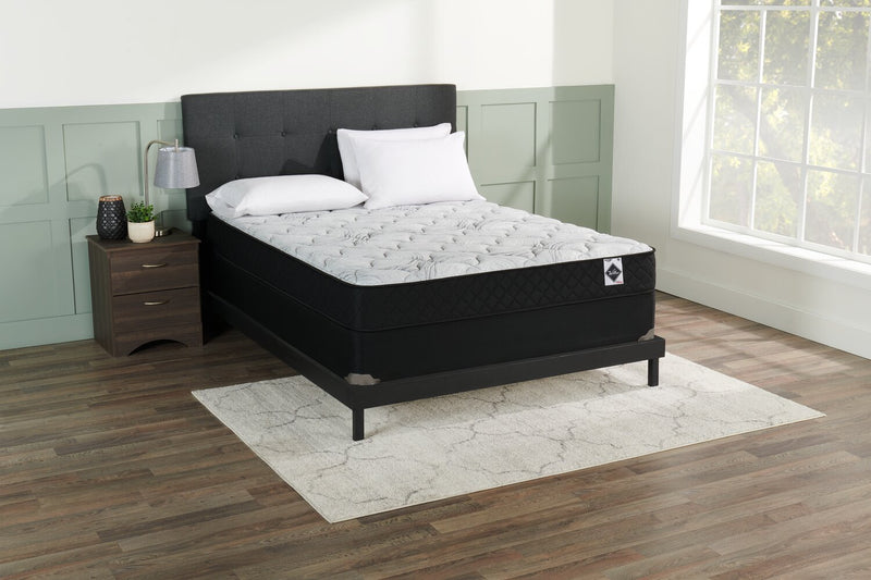 Springwall Queen Boxspring - The Brick