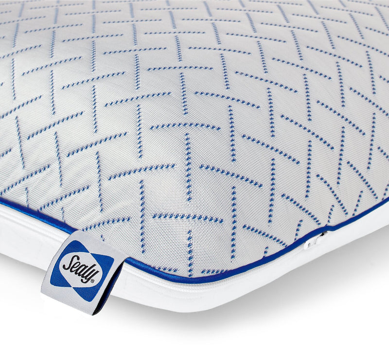 Sealy® Cool Touch Memory Foam Pillow The Brick