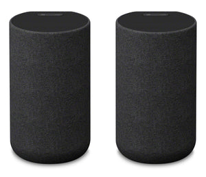 Sony Wireless Speakers with Built-In Battery - 4A1357