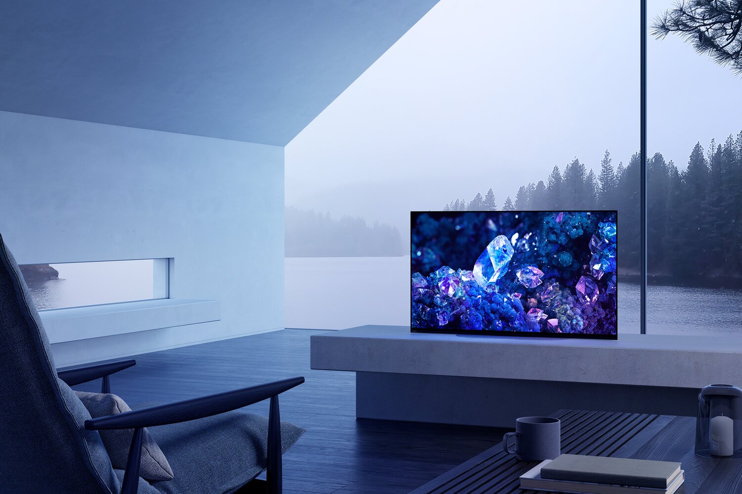 SONY 48