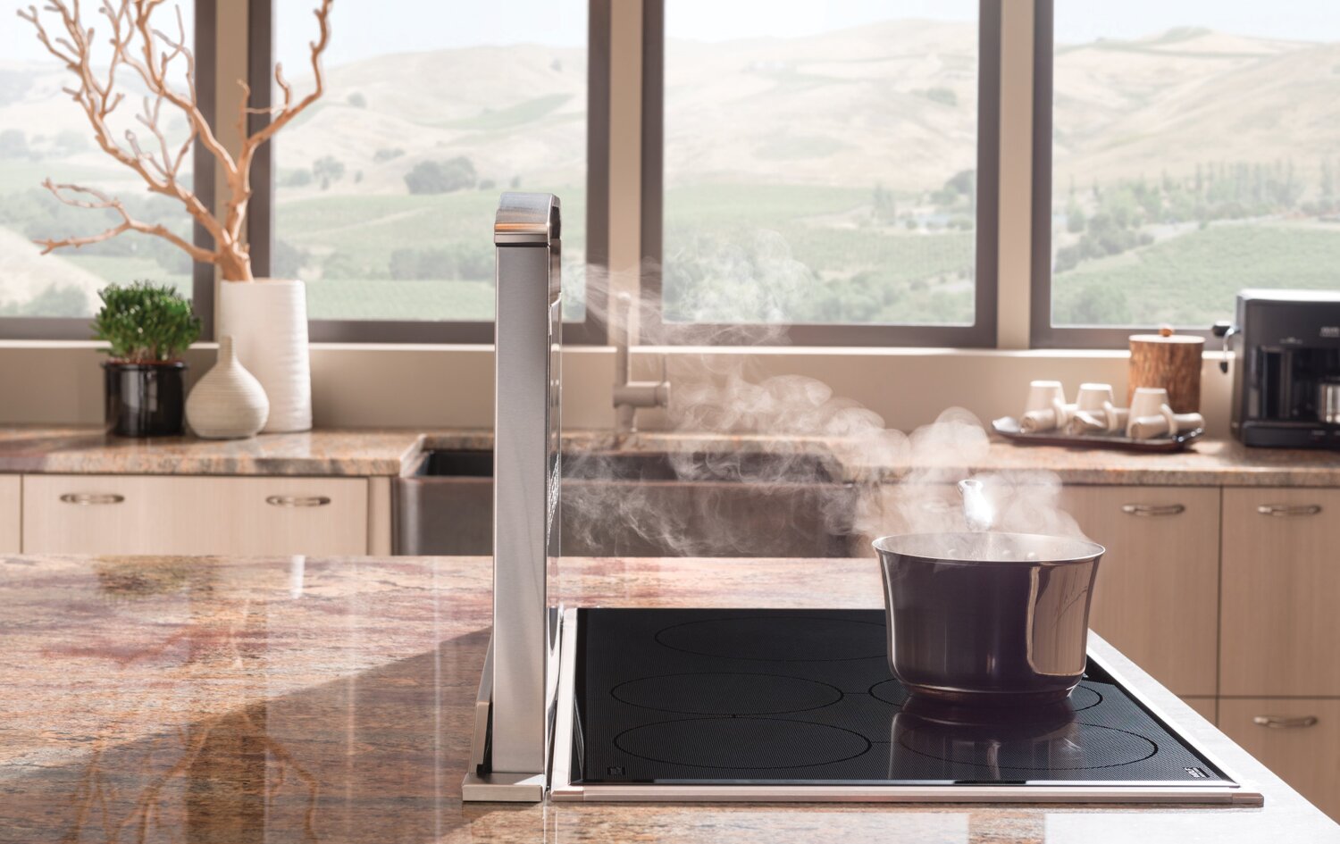 Best Cattura™ D49MSeries 30" Downdraft Range Hood D49M30SB The Brick