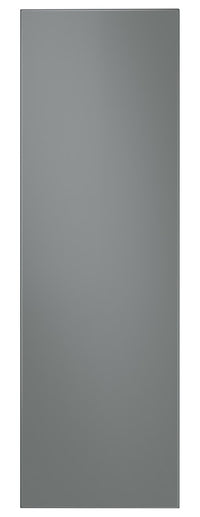 Samsung Bespoke 1-Door Column Refrigerator-Freezer Panel - RA-R23DAA31/AA 