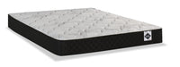 Springwall Autumn Tight Top Twin Mattress-in-a-Box 