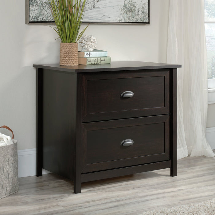 Cayla 33.39\" 2-Drawer Filing Cabinet - Estate Black